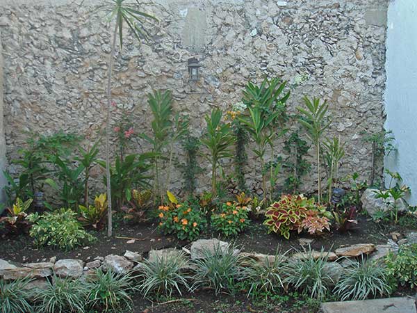 cleaned up garden wall