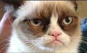 grumpy