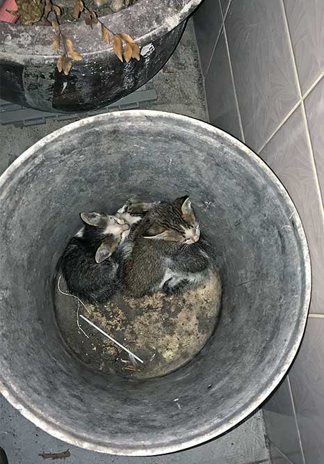 a sight for sore eyes