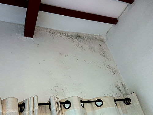 moldy wall & curtain