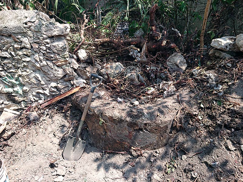 the shared well with the neighbor