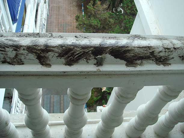 sticky black goo on railing