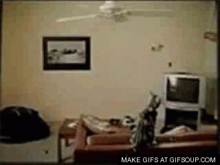 cat swinging on ceiling fan