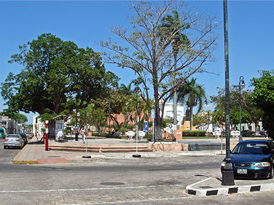 one of the many local parks